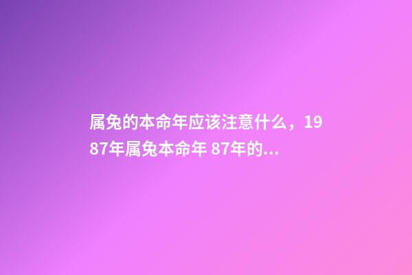 属兔的本命年应该注意什么，1987年属兔本命年 87年的兔子应该注意的什么-第1张-观点-玄机派